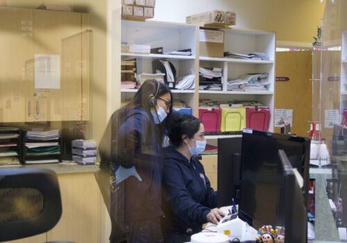 Best Dental Care in San Jose